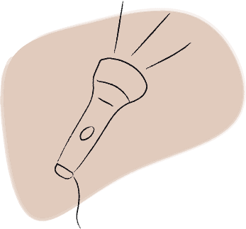 Illustration of a flashlight as a metaphor for Enneagram types and their wings